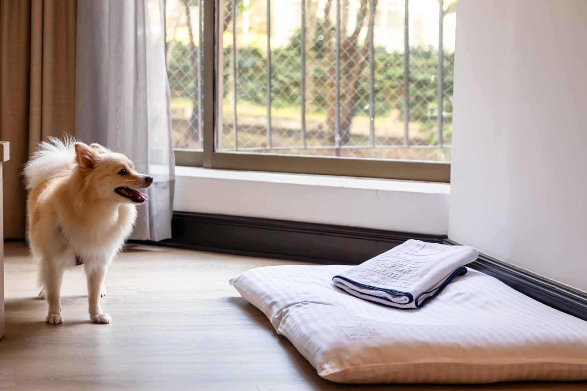 Hotel Dann Carlton Belfort Medellín Kültér fotó A dog bed